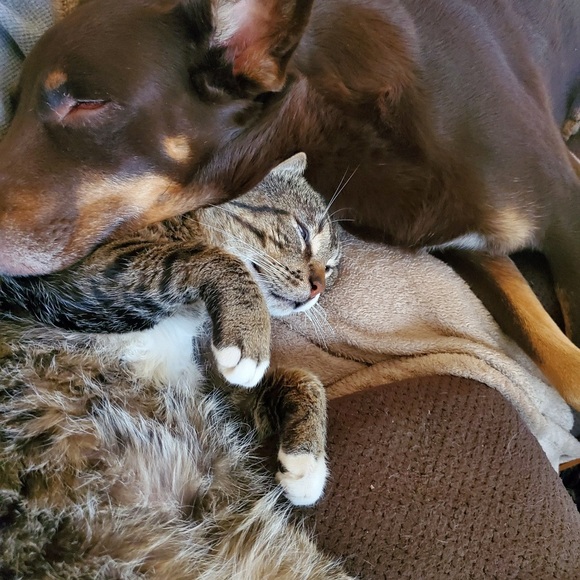 Meet your Posher, Carolee - Picture 6 of 8